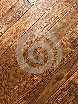 Beautiful top shoot of the brown maple hardwood floor. photo