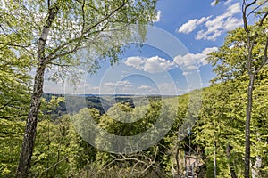 Beautiful top view of luxembourg forests