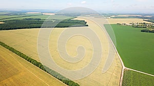 Beautiful top view of yellow and green fields