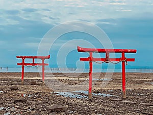 Beautiful tori gate in Japan