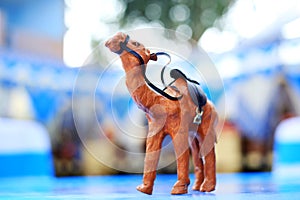 Beautiful Toy Camel in yellowish color