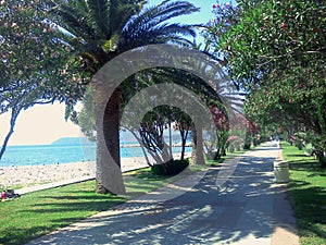 Beautiful track with palm trees, oleanders. place to relax and enjoy. perfect nature