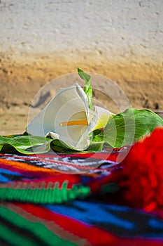 Beautiful traditional cartridge flowers with a typical Mayan cajola background photo