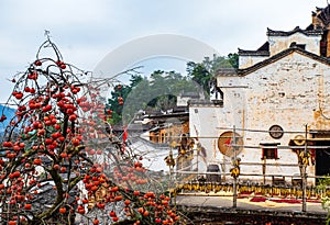 Beautiful Traditional Chinese Villages