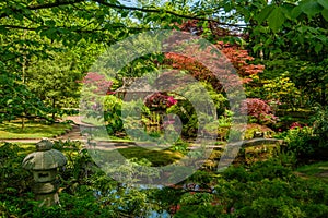 Beautiful traditional Japanese garden in springtime, in park Clingendael, The Hague, Netherlands