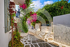 Beautiful traditional streets of Greek island towns. Whitewashed houses, bougainvillea in blossom, greenery, flower pots