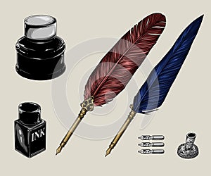 Beautiful Traditional Vintage Quill Pen Colored Illustration