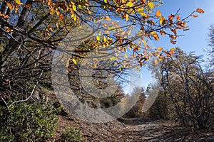 Beautiful trail that runs through the ecological park