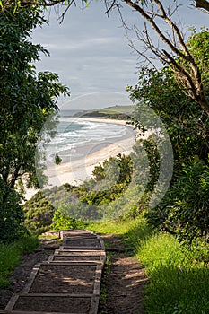 Beautiful trail to mystics beach minnamurra beach