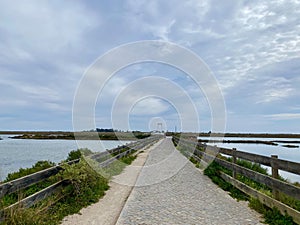 Trail to Praia do Barril beach in the Ria Formosa natural park in Luz de Tavira photo