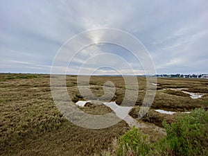 Trail to Praia do Barril beach in the Ria Formosa natural park in Luz de Tavira photo