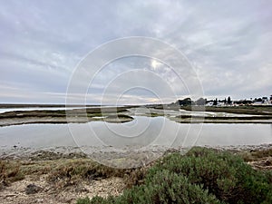 Trail to Praia do Barril beach in the Ria Formosa natural park in Luz de Tavira photo