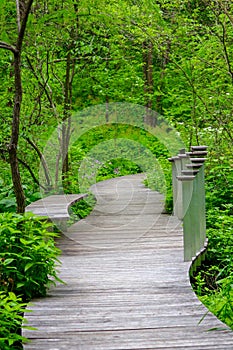 Beautiful Trail at a Wildflower Garden