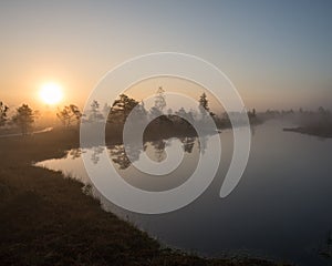 Beautiful tranquil landscape of misty swamp lake