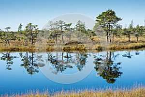 Beautiful tranquil landscape of misty swamp lake