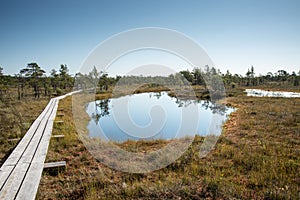 Beautiful tranquil landscape of misty swamp lake