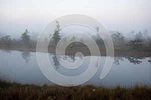 Beautiful tranquil landscape of misty swamp lake