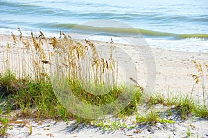 Beautiful tranquil shoreline beach scene with sea oats and gentle waves