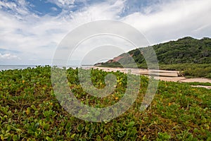 The beautiful beach in Arraial d` Ajuda, Brazil photo