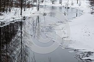 Beautiful tranquil winter scenery. Snowy river coastline with two white swans