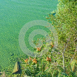 Water of Lake Ochrid, Macedonia.