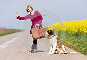 Beautiful traveller girl