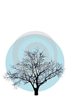 Beautiful tree in abstract style on blue circle, isolated on white background. Great design for any purposes