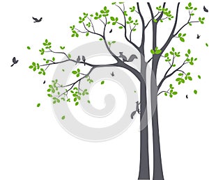 Beautiful tree branch with birds silhouette background for wallpaper sticker