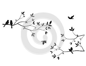 Beautiful tree branch with birds silhouette background for wallpaper sticker