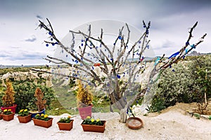 Beautiful tree, decorated with amulets for good luck, in the valley of love in Cappadocia