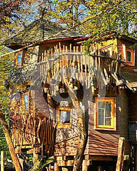 Beautiful tree house. A hotel high in the trees