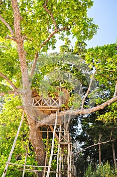 Beautiful tree house on Radhanagar Beach on Havelock Island - Andaman Islands, India photo