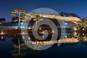 Beautiful tree in Hwaseong Fortress at night in Suwon, South Korea.