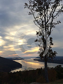 Beautiful tree, mountains, river and sky