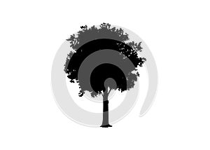 Beautiful tree vector silhouette icon vector illustration for nature websites and apps, logo template isolated on white background