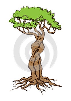 Beautiful tree vector on a white background.