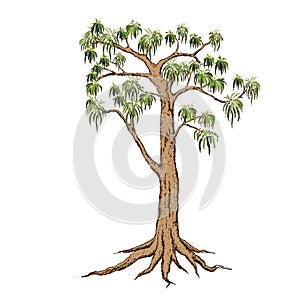 Beautiful tree vector on a white background.