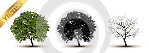 Beautiful tree vector on a white background.