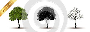 Beautiful tree vector on a white background.