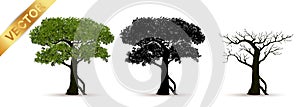 Beautiful tree vector on a white background.