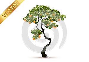 Beautiful tree vector on a white background.