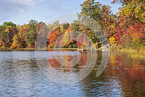 Beautiful trees in autumn color on the shore of a northern Minnesota lake