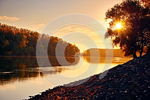 Beautiful trees in autumn forest near river, bright sunlight and sunset