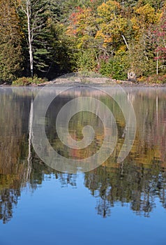 Beautiful trees and autumn leaves reflected in still water