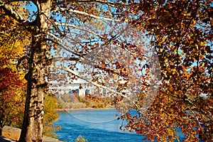 Beautiful trees in the autumn season. The bridge and the river are in the city