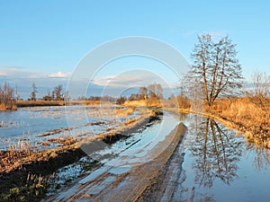 Beautiful trees and highroad in flood time