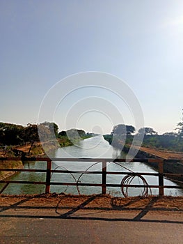 Beautiful trees between long river