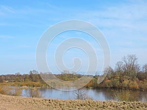 Beautiful trees on River Nemunas side