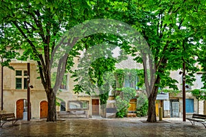 Beautiful trees in summer on a square in the old town of Saint-Remy-de-Provence, Provence France