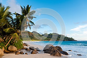 Beautiful tropic beach with palms and stones